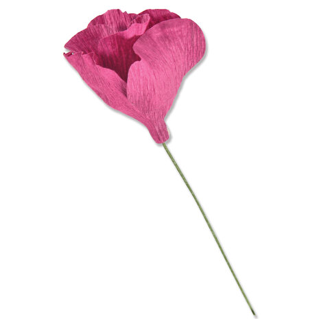 Sizzix Thinlits Die by Alexis Trimble Lisianthus (7pcs) (666246) (DISCONTINUED) Sizzix Thinlits Die by Alexis Trimble Lisianthus (7pcs) (666246) (DISCONTINUED)