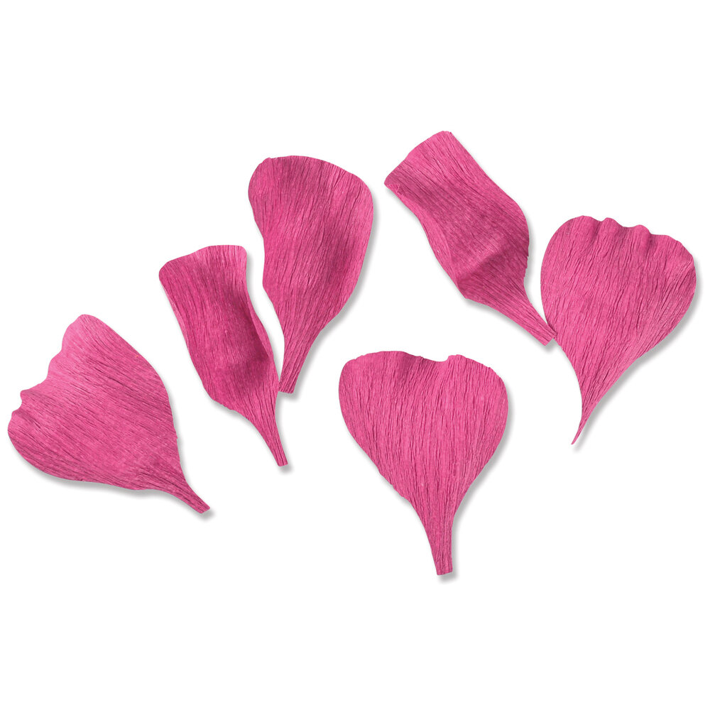 Sizzix Thinlits Die by Alexis Trimble Lisianthus (7pcs) (666246) (DISCONTINUED) Sizzix Thinlits Die by Alexis Trimble Lisianthus (7pcs) (666246) (DISCONTINUED)