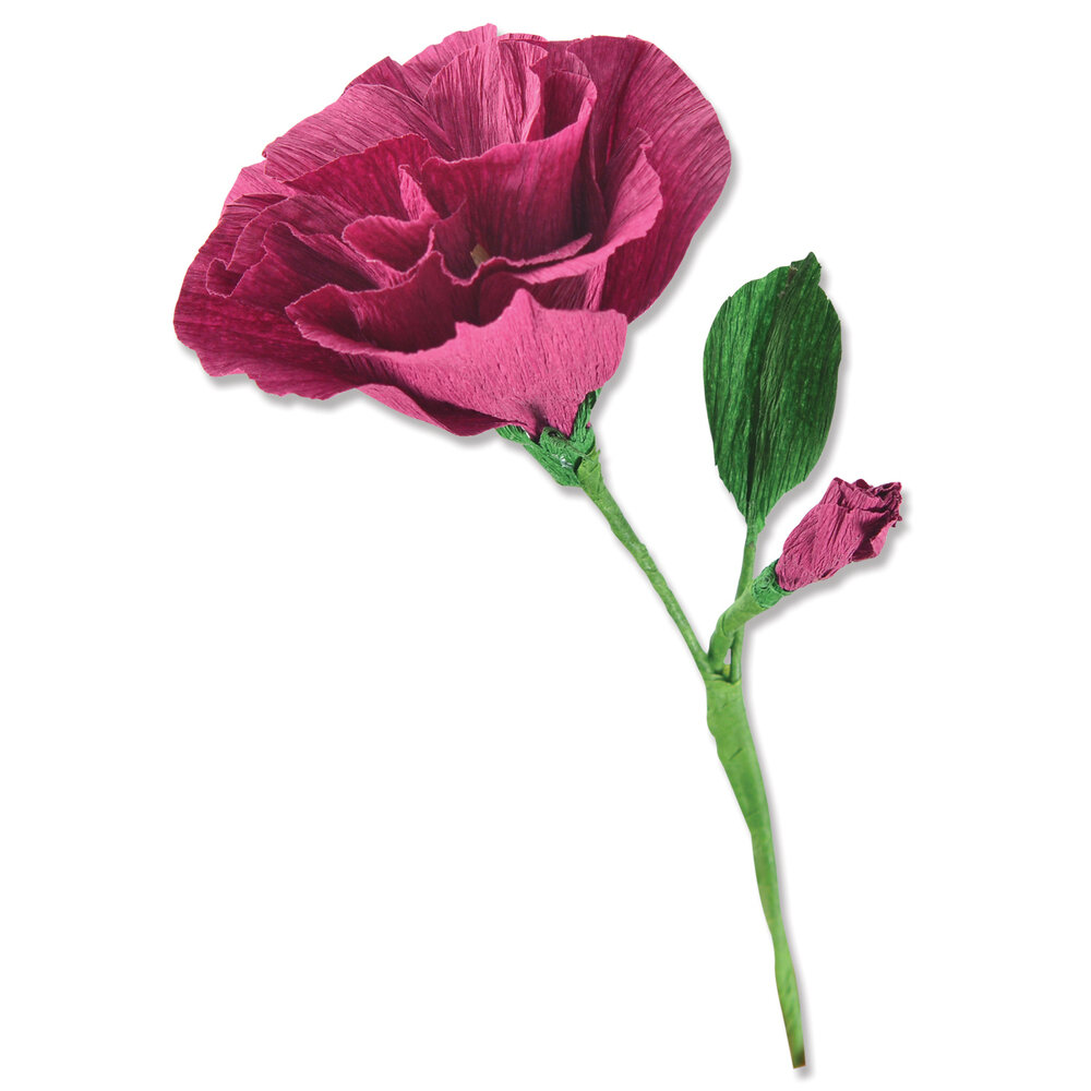 Sizzix Thinlits Die by Alexis Trimble Lisianthus (7pcs) (666246) (DISCONTINUED) Sizzix Thinlits Die by Alexis Trimble Lisianthus (7pcs) (666246) (DISCONTINUED)