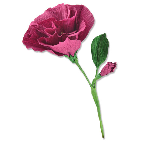 Sizzix Thinlits Die by Alexis Trimble Lisianthus (7pcs) (666246) (DISCONTINUED) Sizzix Thinlits Die by Alexis Trimble Lisianthus (7pcs) (666246) (DISCONTINUED)