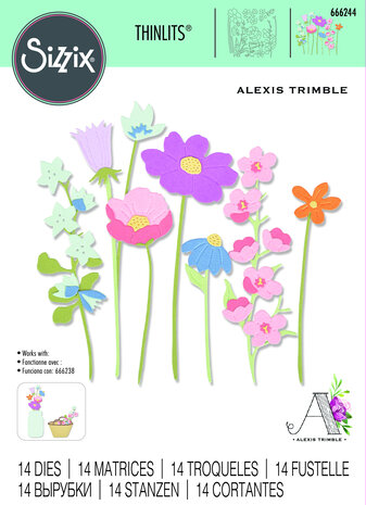 Sizzix Thinlits Die by Alexis Trimble In the Meadow (14pcs) (666244) (DISCONTINUED) Sizzix Thinlits Die by Alexis Trimble In the Meadow (14pcs) (666244) (DISCONTINUED)