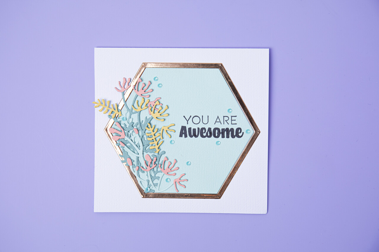 Sizzix Thinlits Die by Jen Long Botanical Frame (6pcs) (665179) (DISCONTINUED)