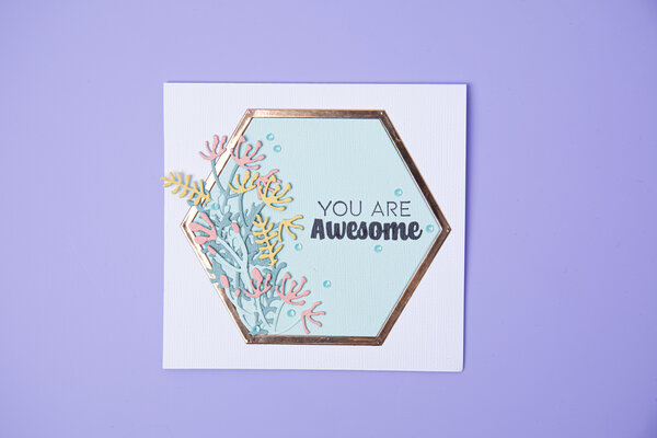 Sizzix Thinlits Die by Jen Long Botanical Frame (6pcs) (665179) (DISCONTINUED)