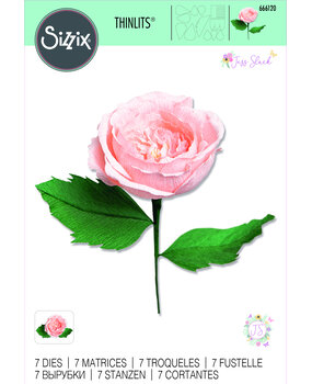 Sizzix Thinlits Die by Jess Slack Garden Rose (7pcs) (666120) (DISCONTINUED) Sizzix Thinlits Die by Jess Slack Garden Rose (7pcs) (666120) (DISCONTINUED)