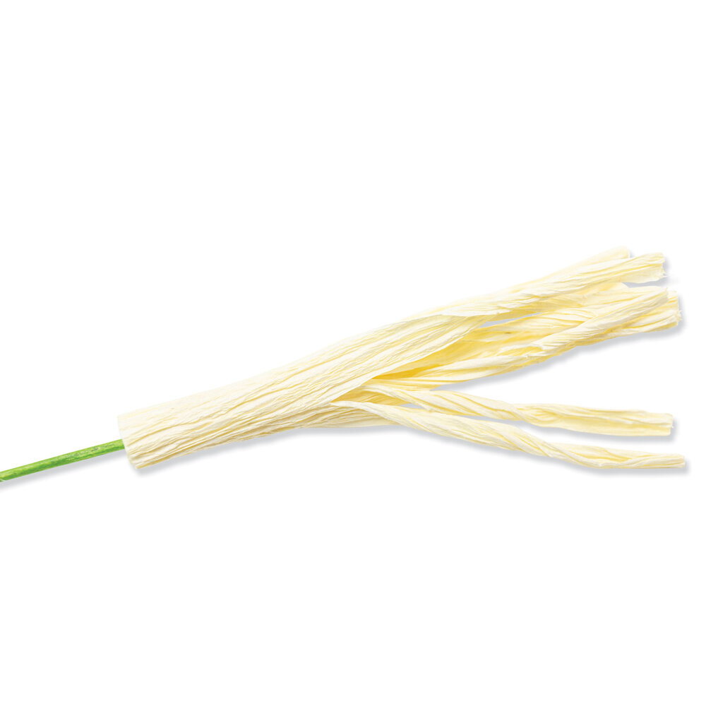 Sizzix Thinlits Die by Jess Slack Garden Rose (7pcs) (666120) (DISCONTINUED) Sizzix Thinlits Die by Jess Slack Garden Rose (7pcs) (666120) (DISCONTINUED)