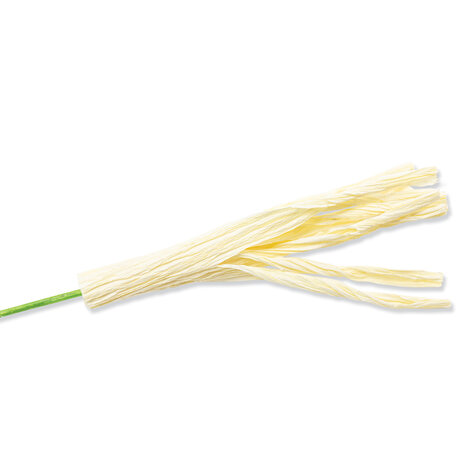 Sizzix Thinlits Die by Jess Slack Garden Rose (7pcs) (666120) (DISCONTINUED) Sizzix Thinlits Die by Jess Slack Garden Rose (7pcs) (666120) (DISCONTINUED)