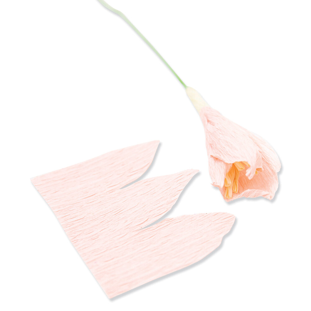 Sizzix Thinlits Die by Jess Slack Garden Rose (7pcs) (666120) (DISCONTINUED) Sizzix Thinlits Die by Jess Slack Garden Rose (7pcs) (666120) (DISCONTINUED)