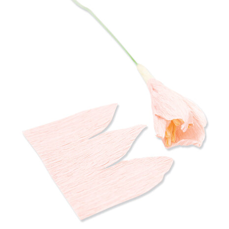 Sizzix Thinlits Die by Jess Slack Garden Rose (7pcs) (666120) (DISCONTINUED) Sizzix Thinlits Die by Jess Slack Garden Rose (7pcs) (666120) (DISCONTINUED)