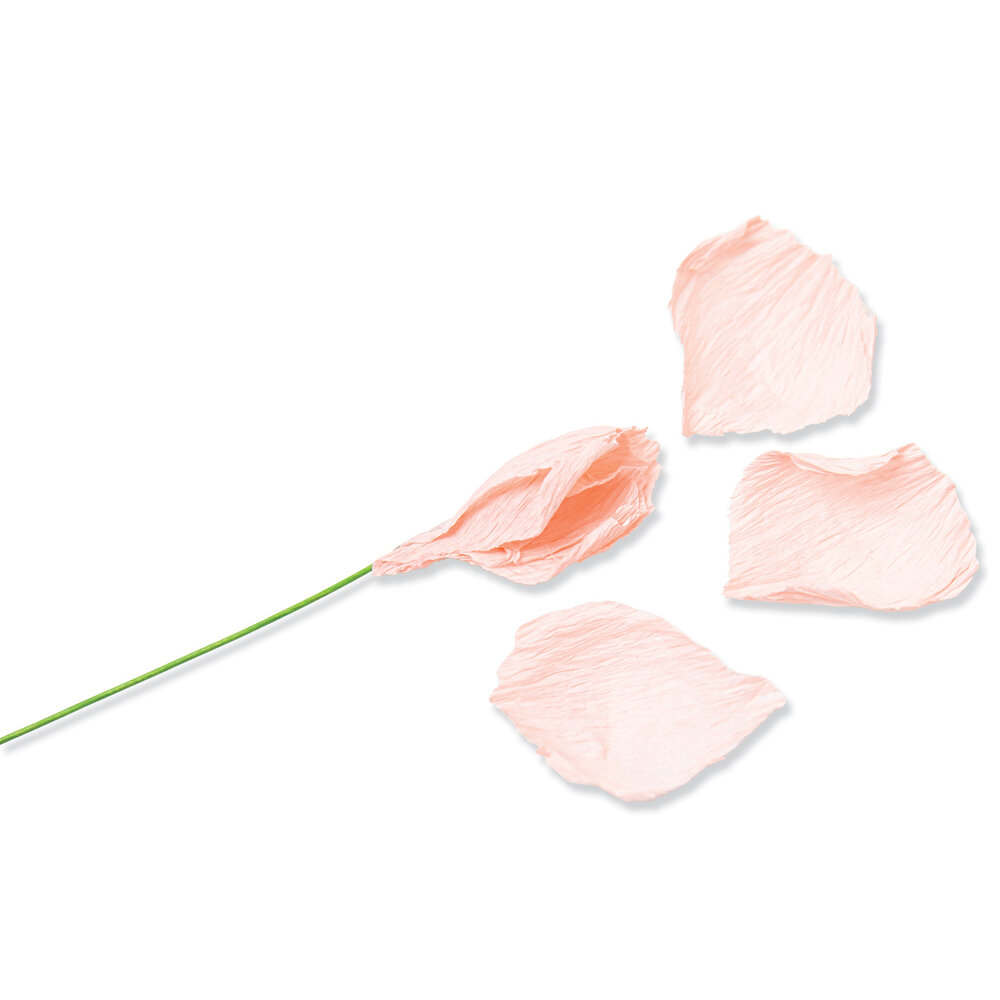 Sizzix Thinlits Die by Jess Slack Garden Rose (7pcs) (666120) (DISCONTINUED) Sizzix Thinlits Die by Jess Slack Garden Rose (7pcs) (666120) (DISCONTINUED)