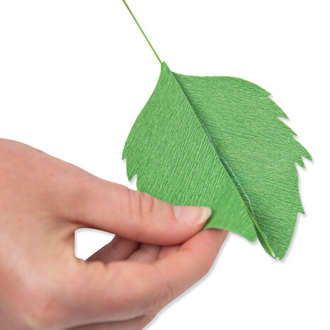 Sizzix Thinlits Die by Jess Slack Garden Rose (7pcs) (666120) (DISCONTINUED) Sizzix Thinlits Die by Jess Slack Garden Rose (7pcs) (666120) (DISCONTINUED)