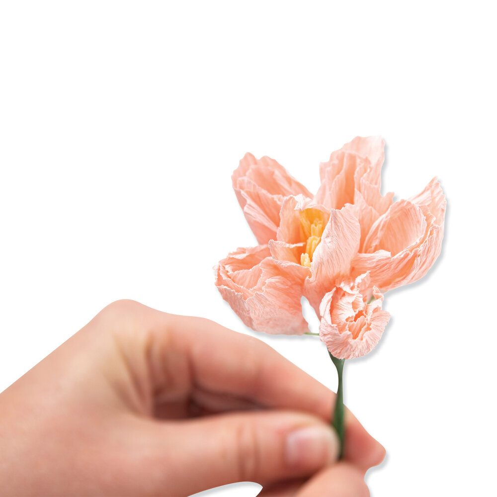 Sizzix Thinlits Die by Jess Slack Garden Rose (7pcs) (666120) (DISCONTINUED) Sizzix Thinlits Die by Jess Slack Garden Rose (7pcs) (666120) (DISCONTINUED)