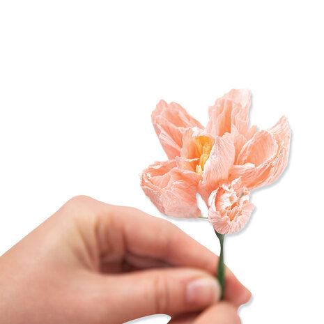 Sizzix Thinlits Die by Jess Slack Garden Rose (7pcs) (666120) (DISCONTINUED) Sizzix Thinlits Die by Jess Slack Garden Rose (7pcs) (666120) (DISCONTINUED)