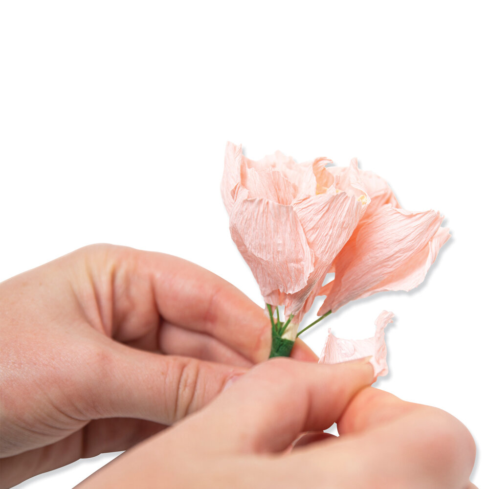 Sizzix Thinlits Die by Jess Slack Garden Rose (7pcs) (666120) (DISCONTINUED) Sizzix Thinlits Die by Jess Slack Garden Rose (7pcs) (666120) (DISCONTINUED)