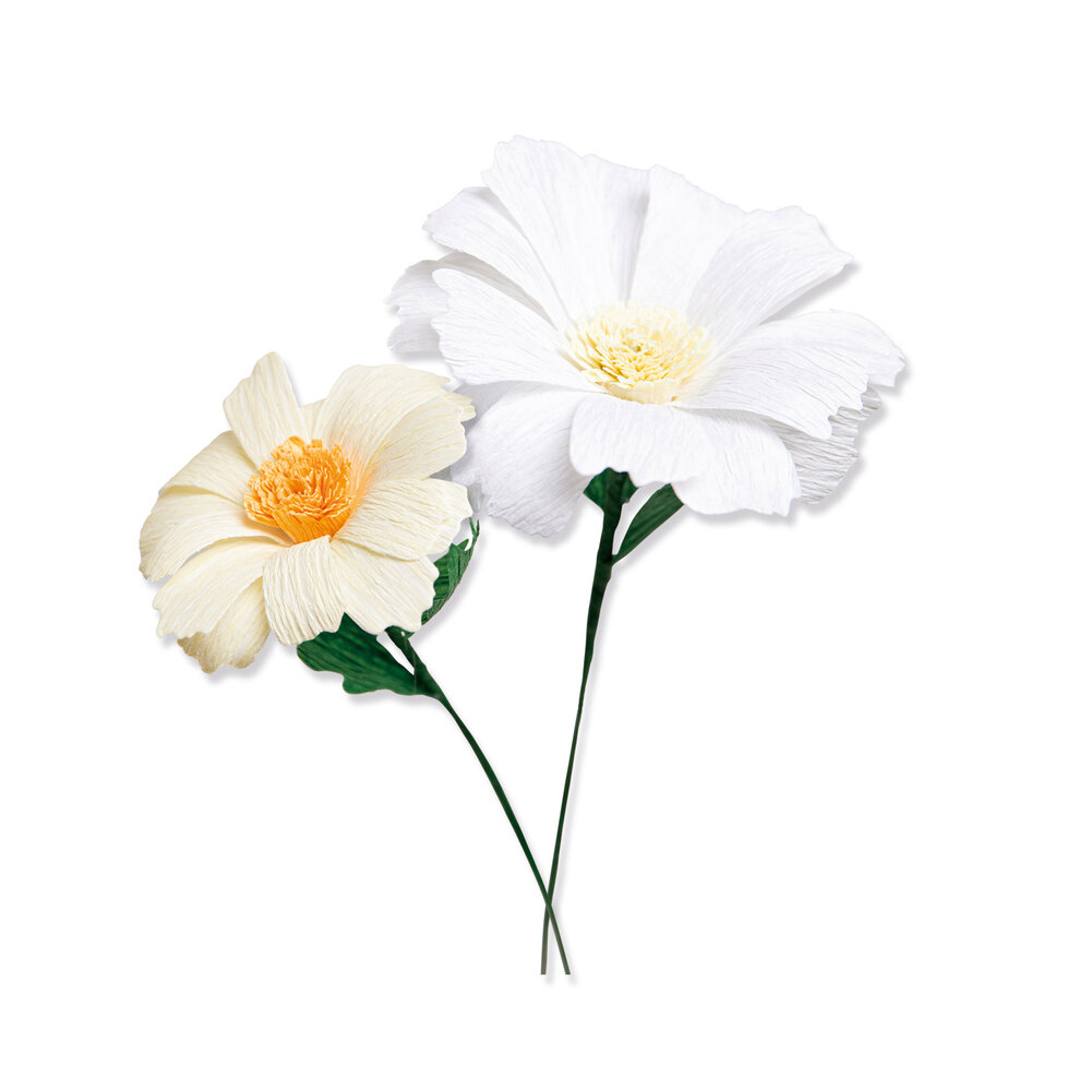 Sizzix Thinlits Die by Jess Slack Daisy Flower Mix (8pcs) (666113) (DISCONTINUED) Sizzix Thinlits Die by Jess Slack Daisy Flower Mix (8pcs) (666113) (DISCONTINUED)