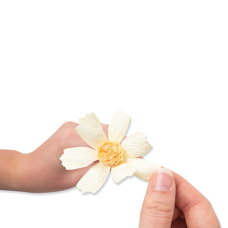 Sizzix Thinlits Die by Jess Slack Daisy Flower Mix (8pcs) (666113) (DISCONTINUED) Sizzix Thinlits Die by Jess Slack Daisy Flower Mix (8pcs) (666113) (DISCONTINUED)