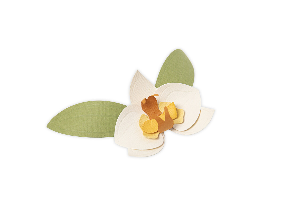 Sizzix Thinlits Die by Jennifer Ogborn Orchid (6pcs) (665894) (DISCONTINUED) Sizzix Thinlits Die by Jennifer Ogborn Orchid (6pcs) (665894) (DISCONTINUED)