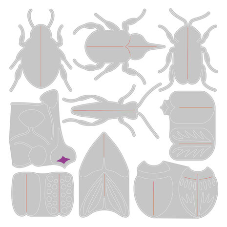 Sizzix Thinlits Die by Jennifer Ogborn Patterned Bugs (9pcs) (665956) (DISCONTINUED)
