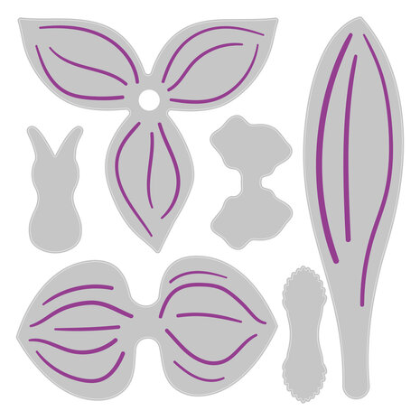 Sizzix Thinlits Die by Jennifer Ogborn Orchid (6pcs) (665894) (DISCONTINUED)