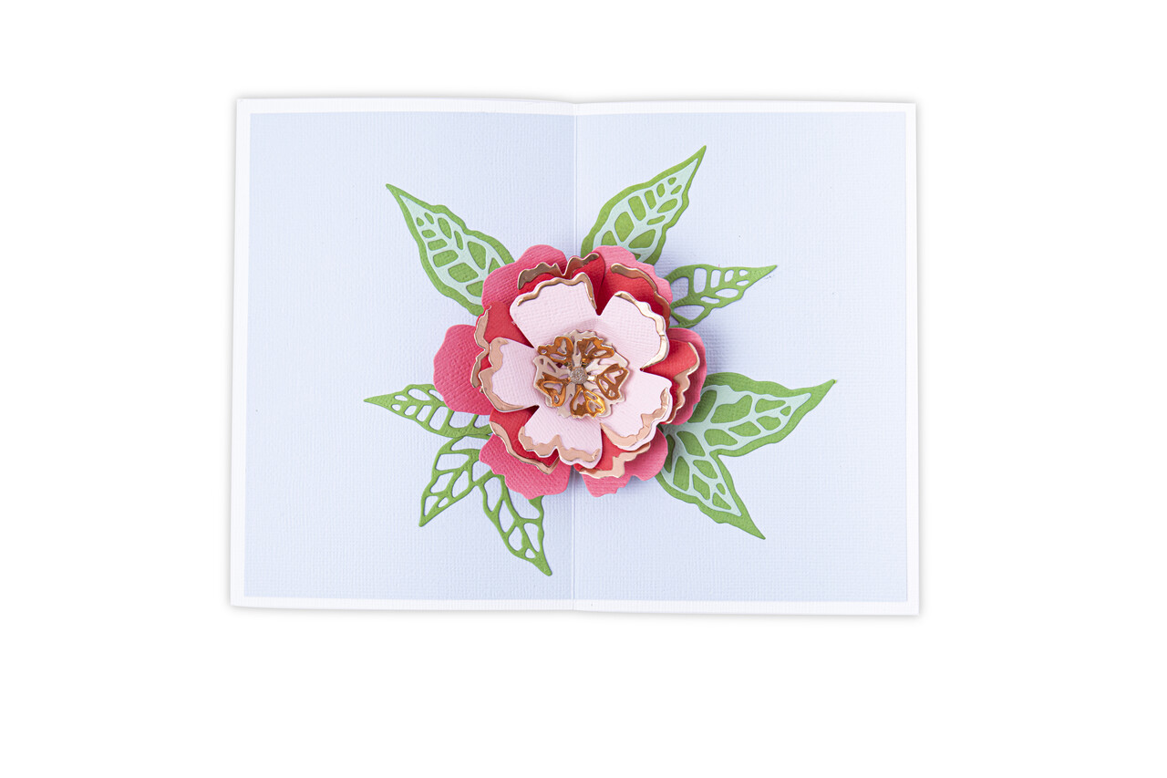 Sizzix Thinlits Die by Jessica Scott Pop-Up Flower (10pcs) (665188) (DISCONTINUED) Sizzix Thinlits Die by Jessica Scott Pop-Up Flower (10pcs) (665188) (DISCONTINUED)