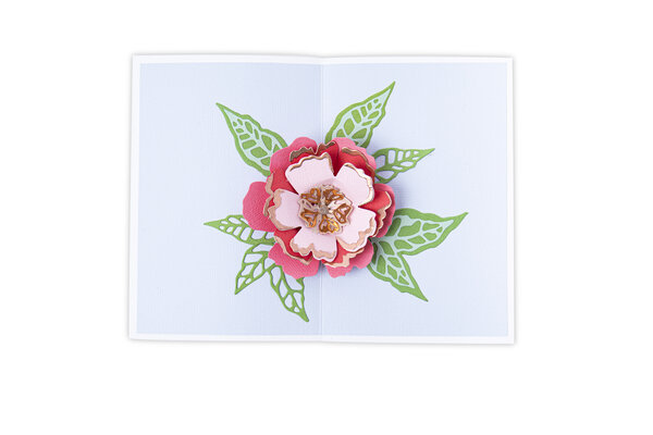 Sizzix Thinlits Die by Jessica Scott Pop-Up Flower (10pcs) (665188) (DISCONTINUED) Sizzix Thinlits Die by Jessica Scott Pop-Up Flower (10pcs) (665188) (DISCONTINUED)