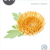 Sizzix Thinlits Die by Kath Breen Chrysanthemum (5pcs) (665333) (DISCONTINUED) Sizzix Thinlits Die by Kath Breen Chrysanthemum (5pcs) (665333) (DISCONTINUED)