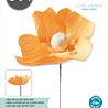 Sizzix Thinlits Die by Lisa Jones California Poppy (5pcs) (664921) (DISCONTINUED) Sizzix Thinlits Die by Lisa Jones California Poppy (5pcs) (664921) (DISCONTINUED)