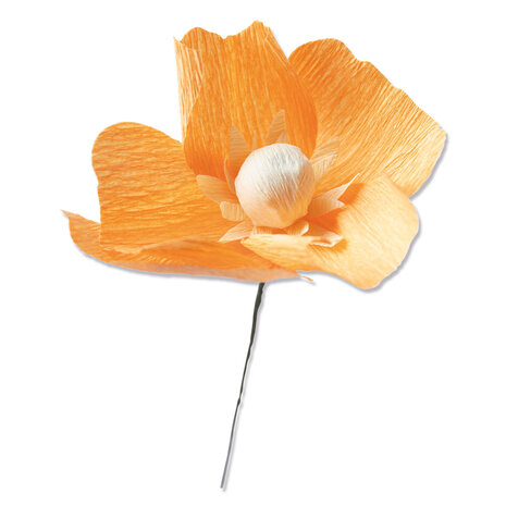 Sizzix Thinlits Die by Lisa Jones California Poppy (5pcs) (664921) (DISCONTINUED)