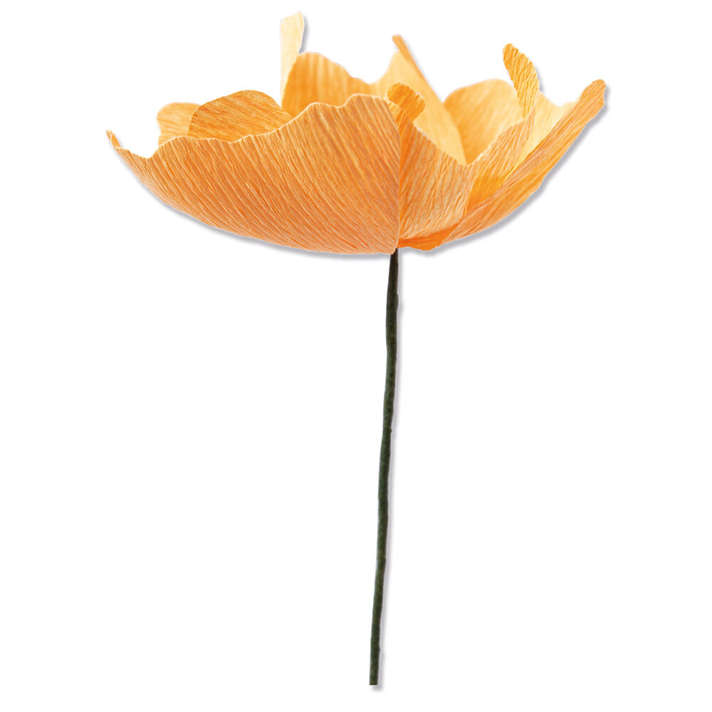 Sizzix Thinlits Die by Lisa Jones California Poppy (5pcs) (664921) (DISCONTINUED)