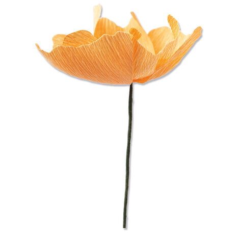 Sizzix Thinlits Die by Lisa Jones California Poppy (5pcs) (664921) (DISCONTINUED)