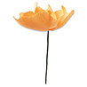 Sizzix Thinlits Die by Lisa Jones California Poppy (5pcs) (664921) (DISCONTINUED) Sizzix Thinlits Die by Lisa Jones California Poppy (5pcs) (664921) (DISCONTINUED)