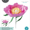Sizzix Thinlits Die by Lisa Jones Wild Peony (5pcs) (664926) (DISCONTINUED) Sizzix Thinlits Die by Lisa Jones Wild Peony (5pcs) (664926) (DISCONTINUED)