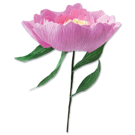 Sizzix Thinlits Die by Lisa Jones Wild Peony (5pcs) (664926) (DISCONTINUED) Sizzix Thinlits Die by Lisa Jones Wild Peony (5pcs) (664926) (DISCONTINUED)