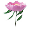 Sizzix Thinlits Die by Lisa Jones Wild Peony (5pcs) (664926) (DISCONTINUED) Sizzix Thinlits Die by Lisa Jones Wild Peony (5pcs) (664926) (DISCONTINUED)