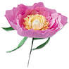 Sizzix Thinlits Die by Lisa Jones Wild Peony (5pcs) (664926) (DISCONTINUED) Sizzix Thinlits Die by Lisa Jones Wild Peony (5pcs) (664926) (DISCONTINUED)
