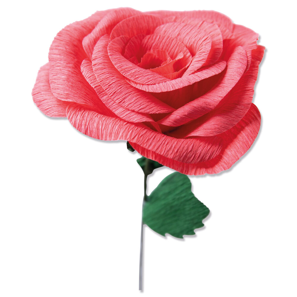 Sizzix Thinlits Die by Olivia Rose Classic Rose (5pcs) (664923) (DISCONTINUED) Sizzix Thinlits Die by Olivia Rose Classic Rose (5pcs) (664923) (DISCONTINUED)