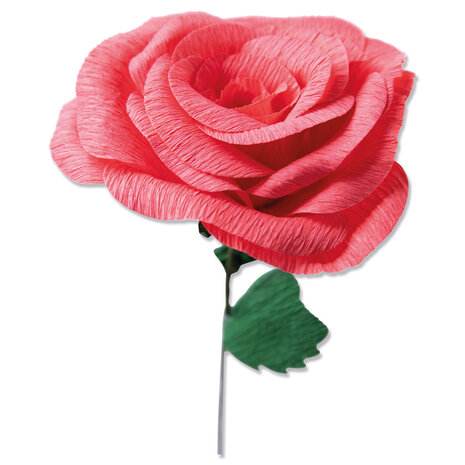 Sizzix Thinlits Die by Olivia Rose Classic Rose (5pcs) (664923) (DISCONTINUED) Sizzix Thinlits Die by Olivia Rose Classic Rose (5pcs) (664923) (DISCONTINUED)