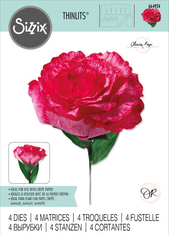 Sizzix Thinlits Die by Olivia Rose Carnation (4pcs) (664924) (DISCONTINUED) Sizzix Thinlits Die by Olivia Rose Carnation (4pcs) (664924) (DISCONTINUED)