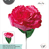 Sizzix Thinlits Die by Olivia Rose Carnation (4pcs) (664924) (DISCONTINUED) Sizzix Thinlits Die by Olivia Rose Carnation (4pcs) (664924) (DISCONTINUED)