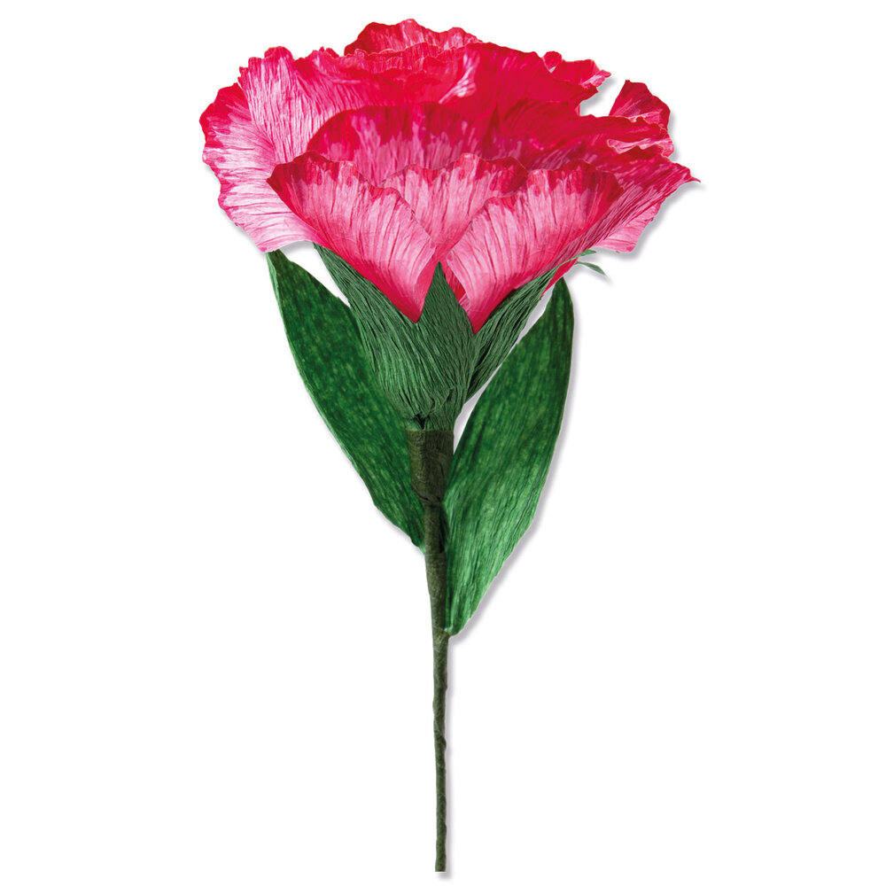 Sizzix Thinlits Die by Olivia Rose Carnation (4pcs) (664924) (DISCONTINUED) Sizzix Thinlits Die by Olivia Rose Carnation (4pcs) (664924) (DISCONTINUED)