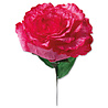Sizzix Thinlits Die by Olivia Rose Carnation (4pcs) (664924) (DISCONTINUED) Sizzix Thinlits Die by Olivia Rose Carnation (4pcs) (664924) (DISCONTINUED)