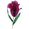 Sizzix Thinlits Die by Olivia Rose Fringed Tulip (5pcs) (664922) (DISCONTINUED) Sizzix Thinlits Die by Olivia Rose Fringed Tulip (5pcs) (664922) (DISCONTINUED)