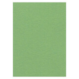 Card Deco Photo Cardstock A4 Appel Green 270 gr. (10pcs) (CDEFK-A416)