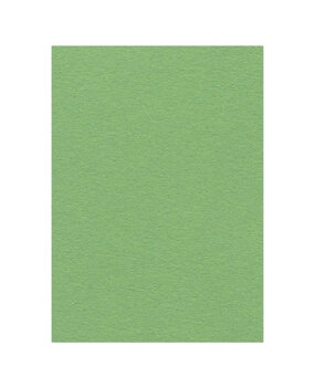 Card Deco Photo Cardstock A4 Appel Green 270 gr. (10pcs) (CDEFK-A416)