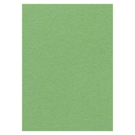 Card Deco Photo Cardstock A4 Appel Green 270 gr. (10pcs) (CDEFK-A416) Card Deco Photo Cardstock A4 Appel Green 270 gr. (10pcs) (CDEFK-A416)