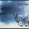 Pink Ink Designs Ink It Midnight 20ml (PIWINKMID) (OUTLET) Pink Ink Designs Ink It Midnight 20ml (PIWINKMID) (OUTLET)