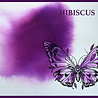 Pink Ink Designs Ink It Hibiscus 20ml (PIWINKHIB) (OUTLET) Pink Ink Designs Ink It Hibiscus 20ml (PIWINKHIB) (OUTLET)