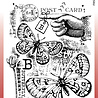 Woodware B is For Butterfly Clear Stamps (FRS991) (OUTLET) Woodware B is For Butterfly Clear Stamps (FRS991) (OUTLET)