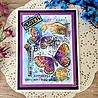 Woodware B is For Butterfly Clear Stamps (FRS991) (OUTLET) Woodware B is For Butterfly Clear Stamps (FRS991) (OUTLET)