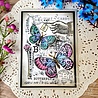 Woodware B is For Butterfly Clear Stamps (FRS991) (OUTLET) Woodware B is For Butterfly Clear Stamps (FRS991) (OUTLET)