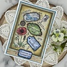 Woodware Vintage Labels Craft Die (11pcs) (CEDFR002) (OUTLET) Woodware Vintage Labels Craft Die (11pcs) (CEDFR002) (OUTLET)